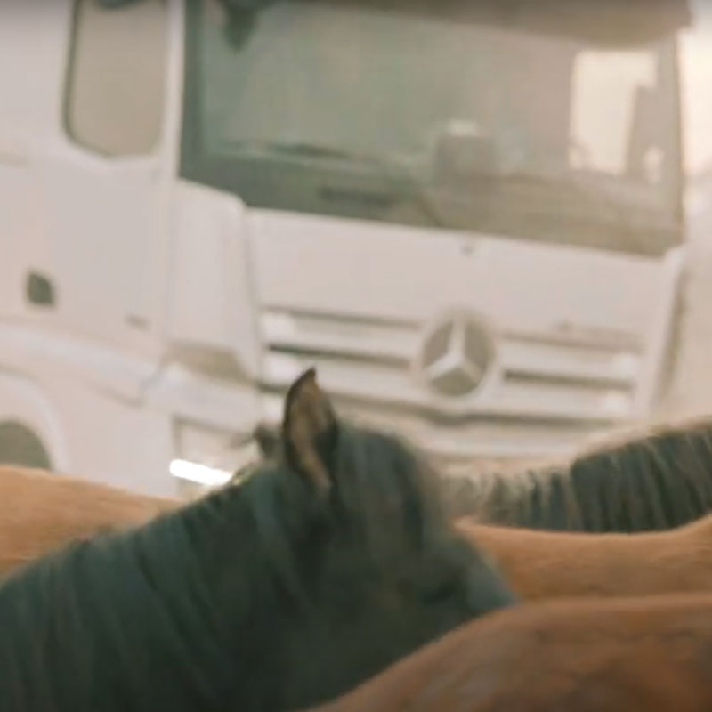 Mercedes Benz Truck